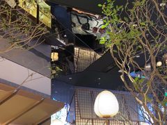 -桂满陇·海市蜃楼·黑金(国金店)