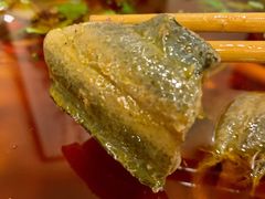 -高坎一品甲鱼庄(两河店)