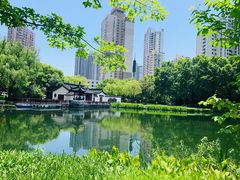 -和平公园