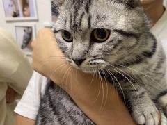 -瑞派康怡24h宠物医院·犬猫医疗中心·微创绝育(瑞景分院)
