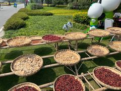 -中国天府农业博览园