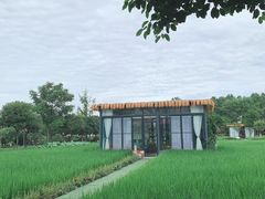 -洪湖家庭农场·团建·露营·会议