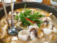 -大鼎石锅鱼(春江里店)