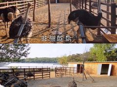 -沈阳鸟岛