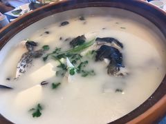 -老淳安—伴山伴湖(千岛湖开元度假村店)