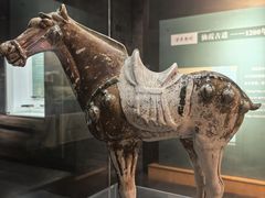 -衢州市博物馆