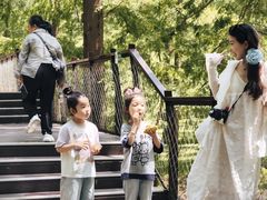 -黄海国家森林公园