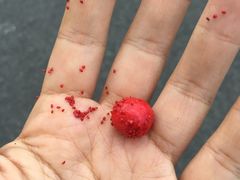 -小六农家乐(崇明西沙湿地店)