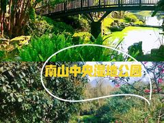 -南山植物园