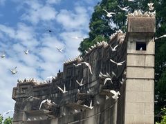 -音乐台