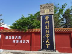 -曹州牡丹园