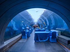-海棠湾洲际-涛·海底餐厅·美人鱼·自助餐·海底隧道