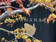 -鯛匠 HANANA