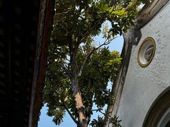 -吴祥记潮州菜·百年老字号·砂锅粥