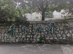 -青青世界