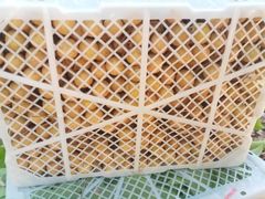 -东方鼎信农副产品交易中心