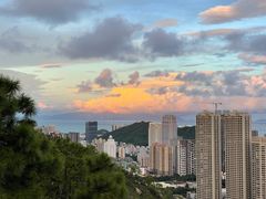 -板樟山森林公园