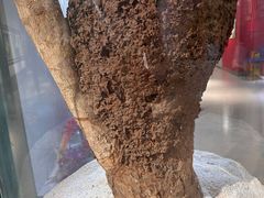 -上海昆虫博物馆