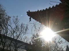 -哈尔滨极乐寺