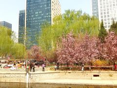 -元大都城垣遗址公园