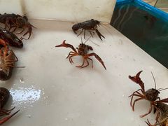 -三好倪氏龙虾(日规路店)