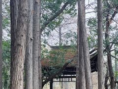 -东湖落雁景区