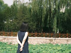 -迎泽公园