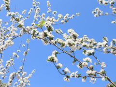 -仙海旅游度假区