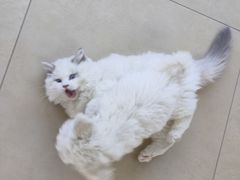 -美迦爱-牙专科·兔科·骨科诊疗中心(北苑店)