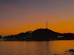 -野狸岛