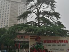 -南京钟山宾馆(江苏省会议中心)