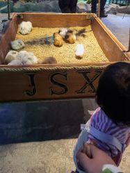 -酷嗒动物文化乐园(cutezoo西溪乐天城店)