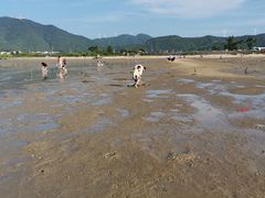 -源海渔村·现捞海鲜(大角湾店)