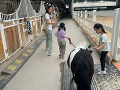 -名驭国际马术学院