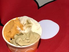 酸杏路易波士茶-DIP in GELATO(富民路店)