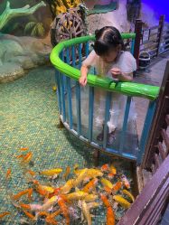 -酷嗒动物文化乐园(cutezoo西溪乐天城店)