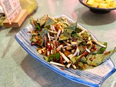 鱼腥草-香巴拉云南餐厅(华莱坞店)