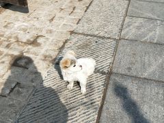 -民主路老街