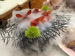-迦南苑·新派青岛菜·生日纪念日主题餐厅