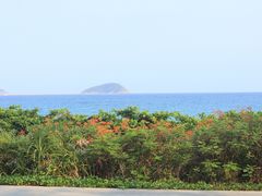 -三亚亚龙湾红树林度假酒店