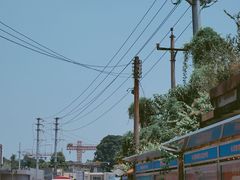 -长洲岛