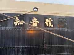 -武汉知音号