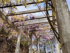-缥缈峰景区