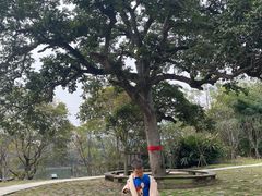 -福建鲤鱼洲酒店