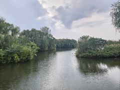 -溱湖国家湿地公园