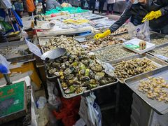 -济南海鲜大市场