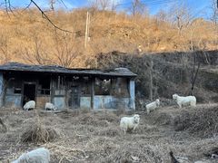 -水峪民俗村