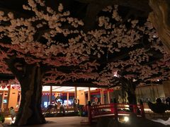 -蓝鲸湾汤泉(包河店)