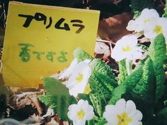 -学习谷日语培训日本留学·多语种外语教学(海淀人大分部)