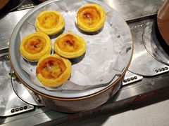 -龍歌自助小火锅(市南金茂湾店)